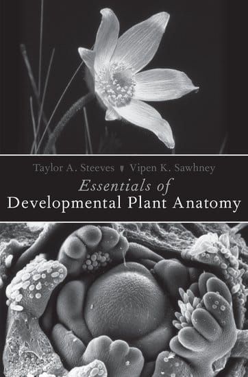 Plant anatomy goes back to its roots (stems, leaves…)