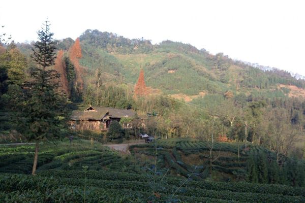 Patches of reforested land alongside farms in Sichuan Province, China.