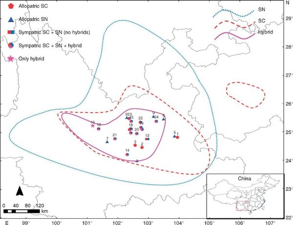 Geographical distribution of 24 Rhododendron populations used in this study outlined in the geographical distribution range o
