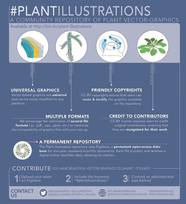 Plant Graphics Infographic