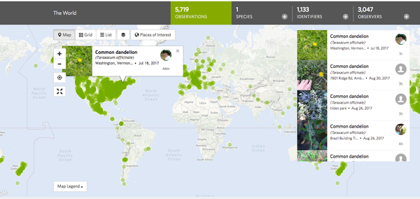 iNaturalist: An App to Ease Plant Blindness
