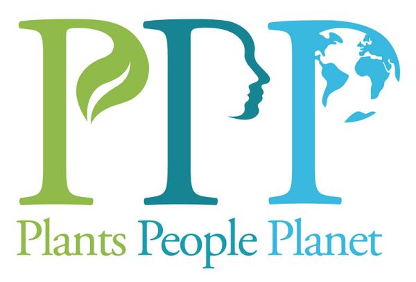 The 3 Ps of plant science publishing