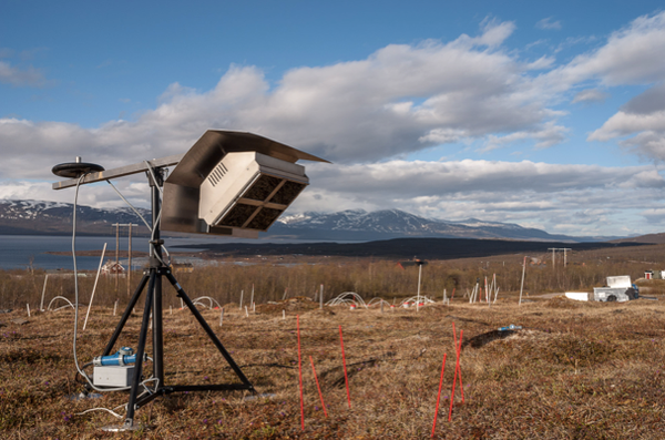 Effects of warming and N addition on seedling establishment in tundra