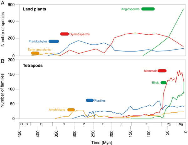 Species development over time