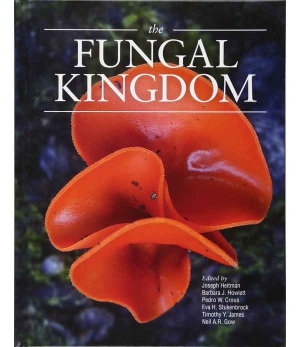 The Fungal Kingdom cober