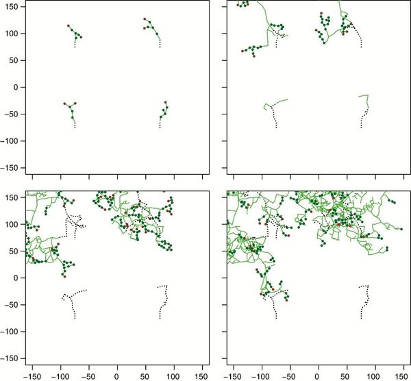 Two-dimensional ‘snapshots’ illustrating the dynamic simulated growth of four initial apical meristems within a 300 mm × 300
