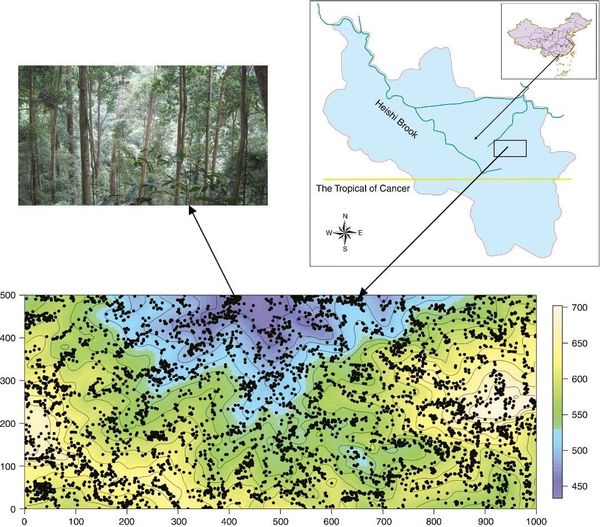 The geographical location of Heishiding forest plot and the distribution of 5335 sampled plants within the plot
