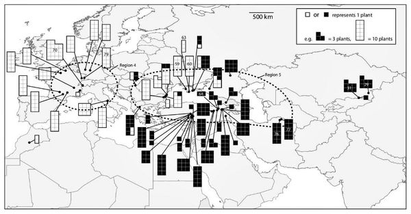 Collection locations of Isatis tinctoria in Eurasia.