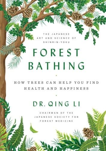 Let’s go down to the forest … to bathe!