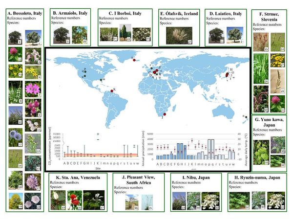 Natural high CO2 springs across the world