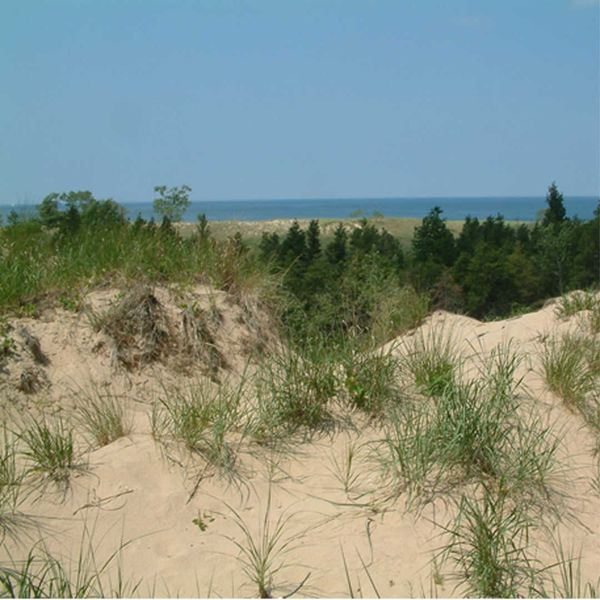 Dunes