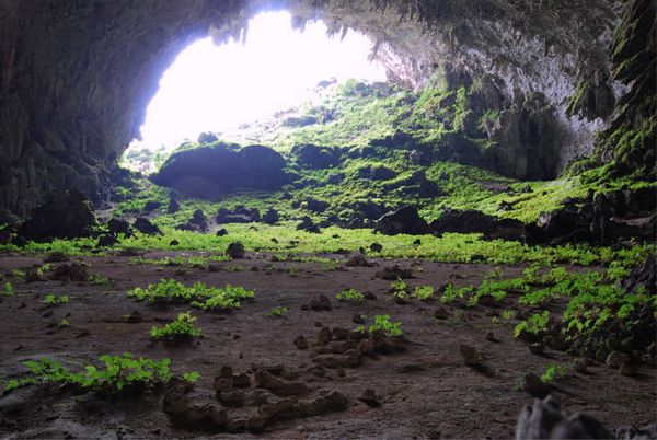 Yangzi cave, Guangxi, China.