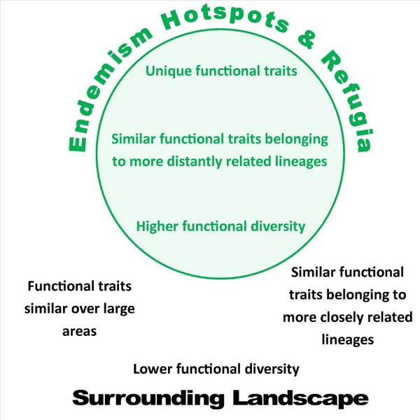 Conceptual diagram