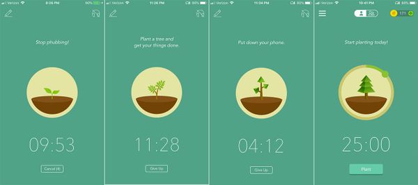 Graphics series of a flowering plant seedling grows into a conifer