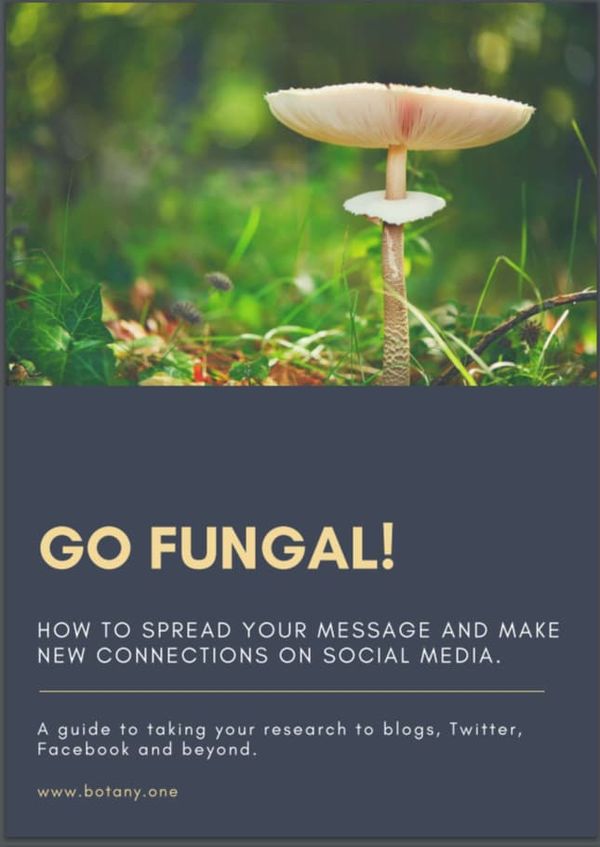 Go Fungal Cover