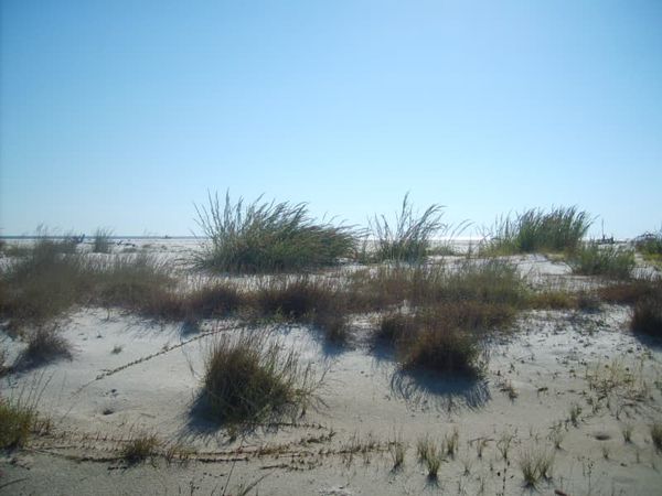 Horn Island