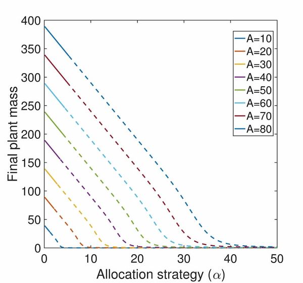 A graph showing descending lines.