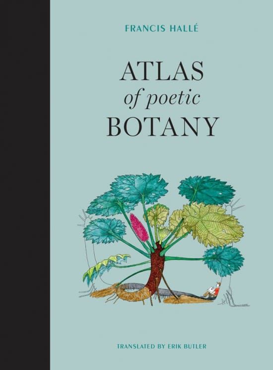 A tropical botany delight