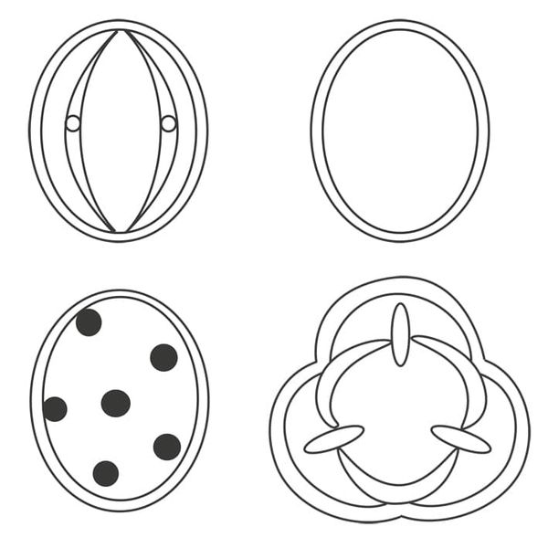 Evolutionary constraints on disparity of ericaceous pollen grains