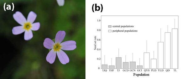 Intraspecific variation of self-incompatibility in the distylous plant Primula merrilliana