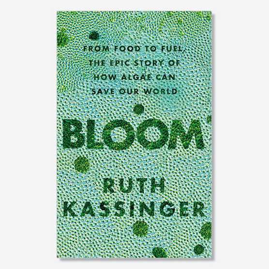 Three kinds of algae? Blooming marvellous news!