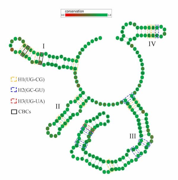 A diagram