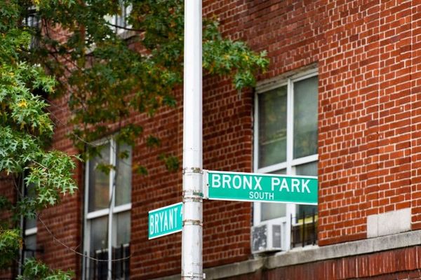 A school curriculum could make New York City seem less grey and more green