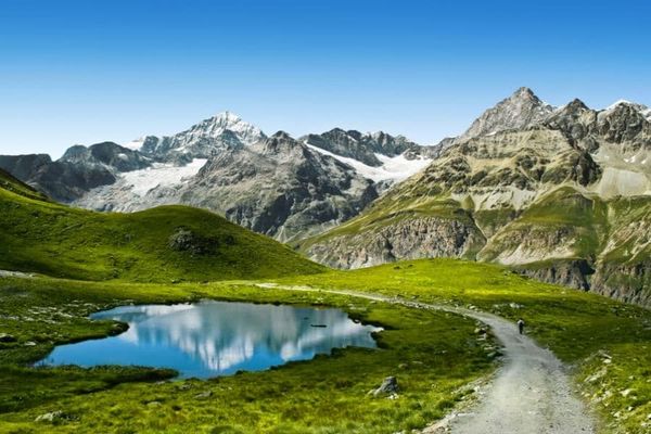 Adaptability is not always positive for plants tackling climate change