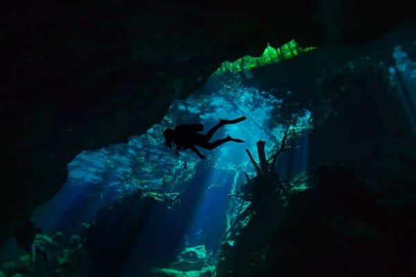 Identifying the biodiversity of the Mayan underworld
