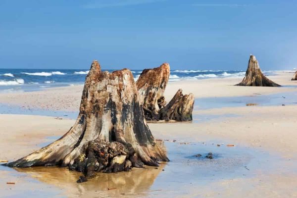 Climate change threatens the first line of defence against coastal storms
