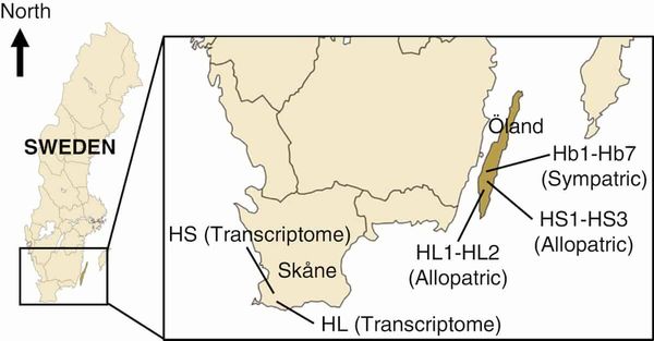 Sympatric moss populations can form true hybrid zones