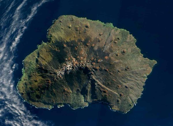 Grasses invading a sub-Antarctic Island respond to rising temperatures, at a cost