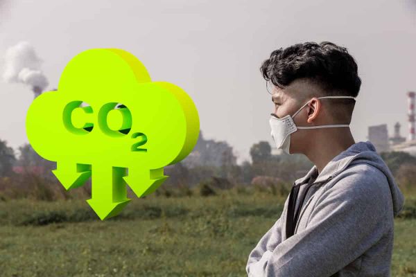New research shows that Bioenergy plants need to be in the right location to deliver benefits