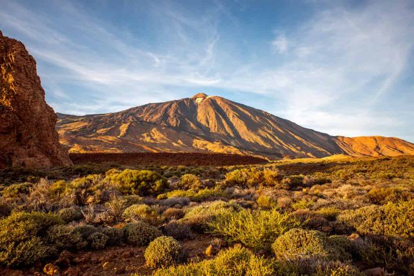 Non-native plant species climb mountains in a different way to native species