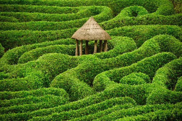 Does biodiversity make gardening less stressful?