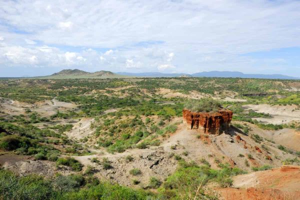 What were the landscapes of the earliest humans like?