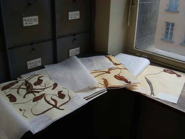 Symposium looks at new frontiers in collecting & collections