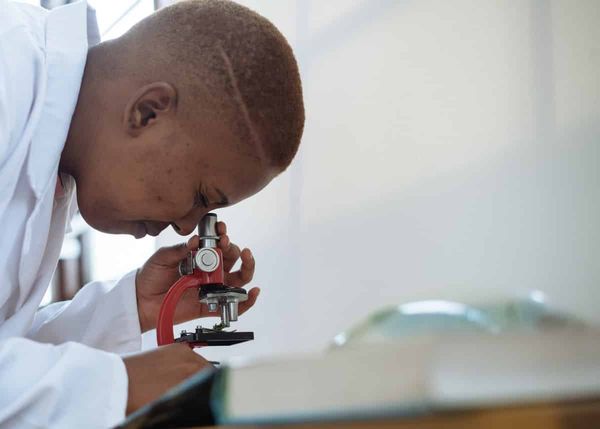 Finding Meaning in the Undergraduate Research Experience