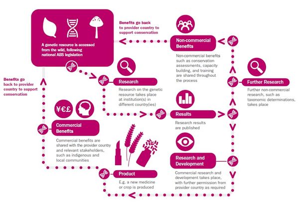 State of the World’s Plants and Fungi: Does conservation policy help or hinder scientific research?