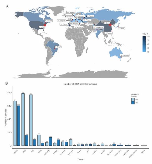 What’s new in soybean transcriptomics?