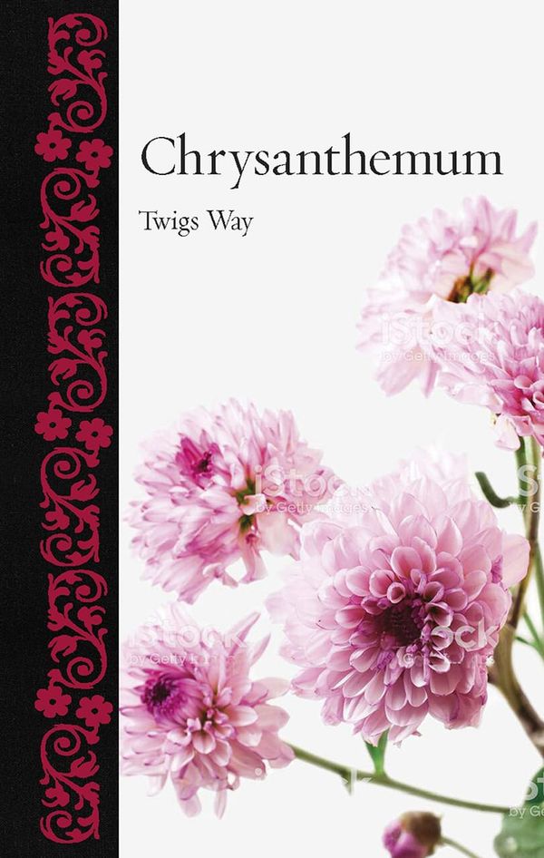 Mum’s the word* in new plant book