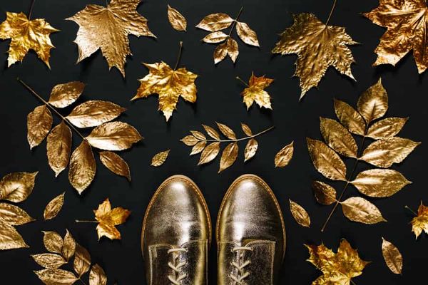 Why are leaves always flat?