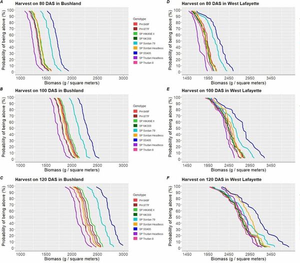 Computer models using remote sensing data accurately predict crop yield