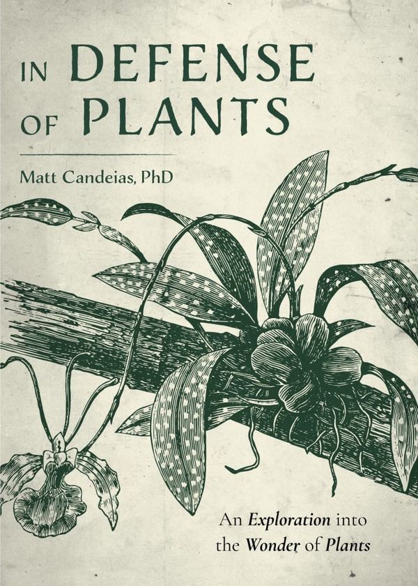 In celebration of plants