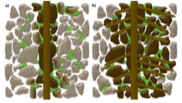 Root hairs more important than root exudate in rhizosheath formation