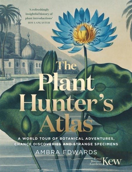 The who, when, where of global plant discovery