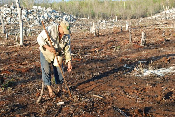 The diversity and capacity of maize to adapt to a changing climate rests in the hands of farmers