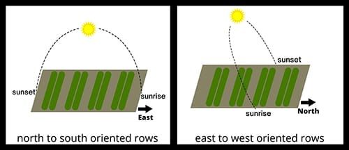 Tomato row orientation