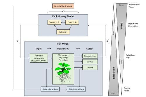 summary of the processes and scale of evolutionary FSP modelling