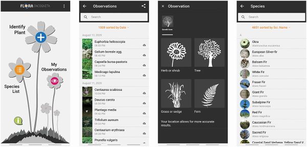 Flora Incognita shows high identification accuracy in Northern Europe